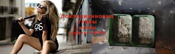 прущая мука Арсеньев